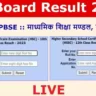 Mpbse Class 10th 12th Result 2023 (2)